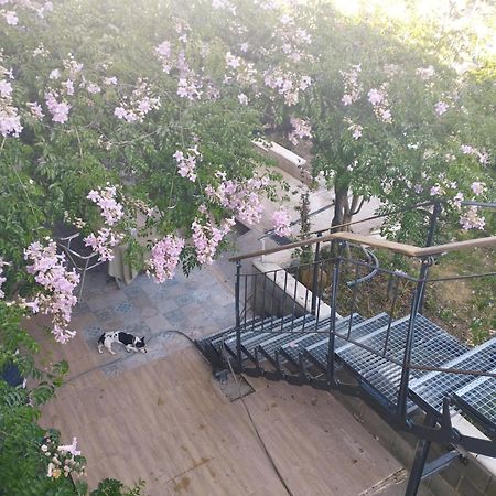 La Fabriqueta Apartament Riudecanyes Kültér fotó