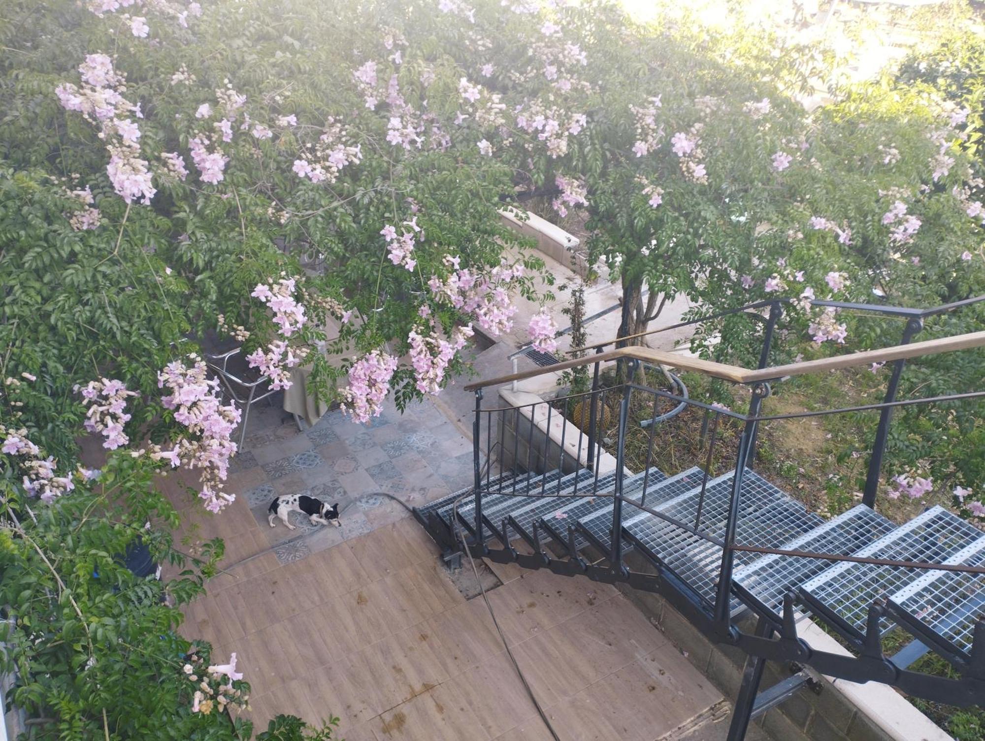La Fabriqueta Apartament Riudecanyes Kültér fotó